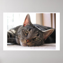 Emily Print