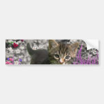 Emma in Flowers I – Little Grey Kitten Bumper Stickers