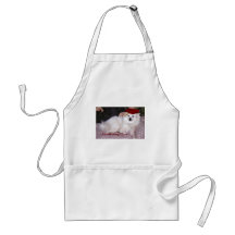 Emmietude-Graduating Class Aprons