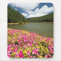 Empadadas Lakes - Azores