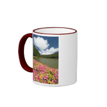 Empadadas Lakes - Azores Coffee Mugs