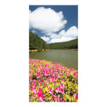Empadadas Lakes - Azores