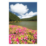 Empadadas Lakes, Azores photography
