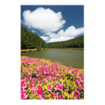Nature Posters