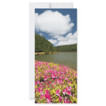Empadadas Lakes - Azores
