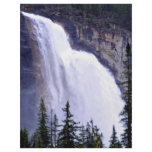 Emperor Falls, British Columbia, Canada Full Color Flyer