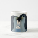 Emperor Penguin Courtship Coffee Mugs