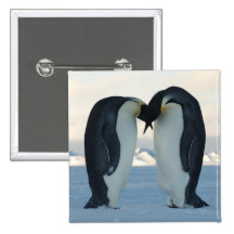 Emperor Penguin Courtship Pins