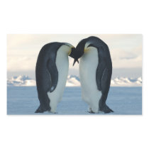 Emperor Penguin Courtship Rectangle Stickers