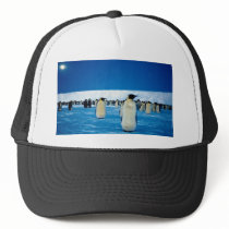 Emperor penguins by moonlight, Antarctica Trucker Hats