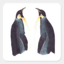 Emperor Penguins Square Stickers
