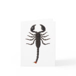 Emperor Scorpion Notecard
