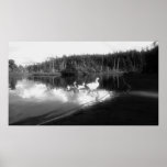 Empire Lake Geese posters