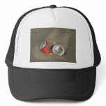 Empty Beer Can in Sand hats