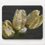 Empty Lily Seed Pods Coordinating Items Usepads