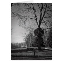 Empty Seat Greeting Card