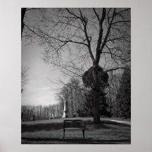 Empty Seat Print