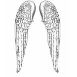 emptywings t-shirts