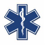 EMS Star of Life photo sculptures