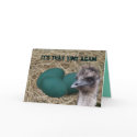 Emu & Eggs-customize any occasion cards