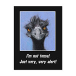 EMU: FUNNY SAYING FOR TENSE BOSS OR OTHERS