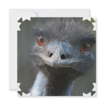 Emu  Invitations
