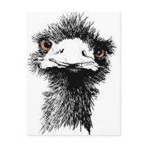 Emu