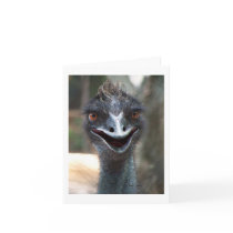 Emu saying HI! Open beak big brown eyes picture