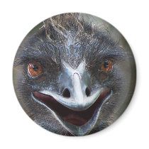 Emu saying HI! Open beak big brown eyes picture