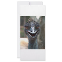 Emu saying HI! Open beak big brown eyes picture