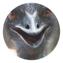 Emu saying HI! Open beak big brown eyes picture