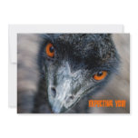 Emu watching, expecting you! invitations