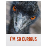 Emu watching, I'm so curious flyers