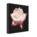 "Enameled" effect pastels rose Canvas Print
