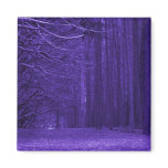 Enchanted Forest Magnet