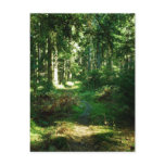 enchanted forest postcards