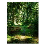 enchanted forest postcard