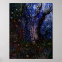 Enchanted Forest posters