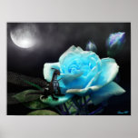 enchanted nights full colour