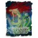 Enchanted t-shirts