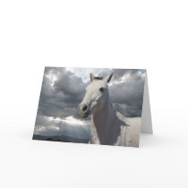 Encouragement Horse Storm Card - Western