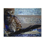 Encouragement Owl Post Cards