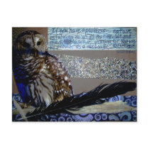 Encouragement Owl Post Cards