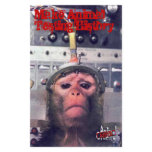 End Animal Testing flyers