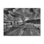 End of the Road Post Card