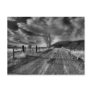 End of the Road Post Card