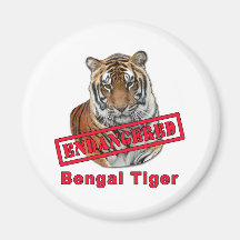 Endangered Bengal Tiger  Products Refrigerator Magnet