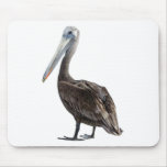 Endangered Brown Pellican (protected species) Mouse Mat