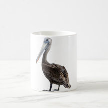 Endangered Brown Pellican (protected species) Mugs