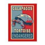 Endangered Galapagos Tortoise Pop Art Tshirts postcards